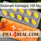 Sildénafil Kamagra 100 Mg new05